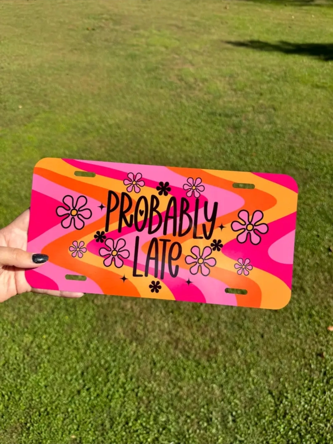 License Plate