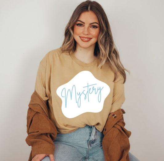 SALE Mystery Tees