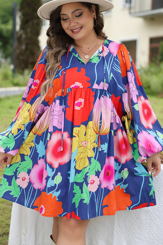 Plus Size Rainbow Floral Babydoll Dress