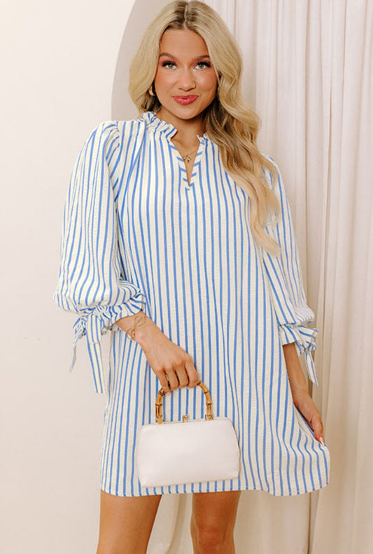 Blue Striped Dress